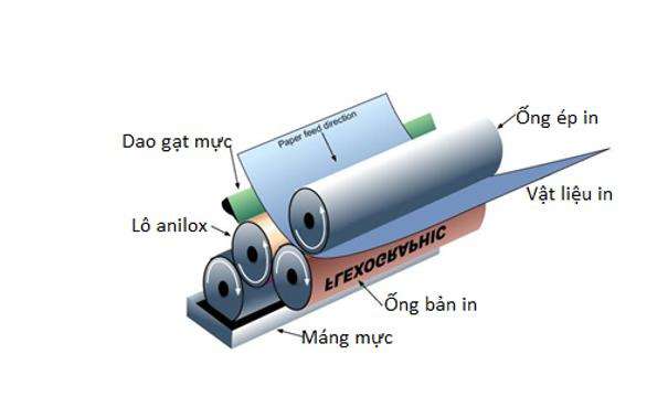 Trục anilox trong hệ thống in Flexo